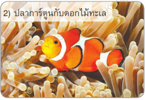 โคน - ระดับชั้น 5 - Quizizz