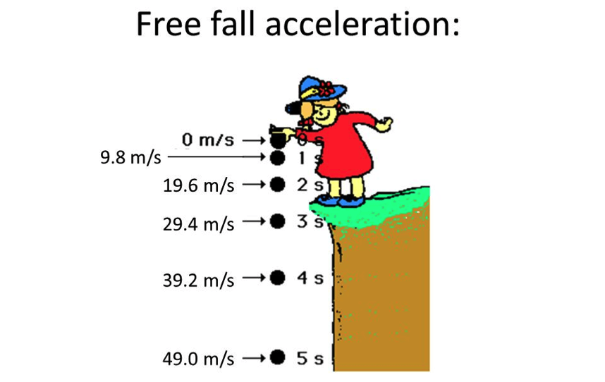 p02-introduction-to-free-fall-physics-quizizz