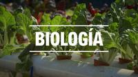 Biología del desarrollo - Grado 2 - Quizizz