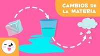 estados de la materia y fuerzas intermoleculares - Grado 9 - Quizizz