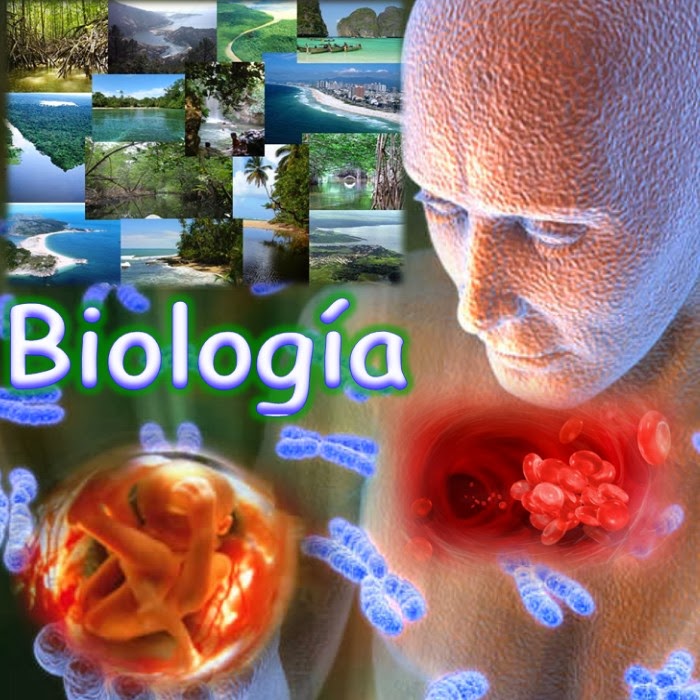 biologia humana - Série 3 - Questionário
