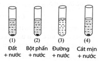 dung dịch và hỗn hợp - Lớp 6 - Quizizz