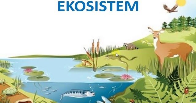 ekosistem - Kelas 7 - Kuis