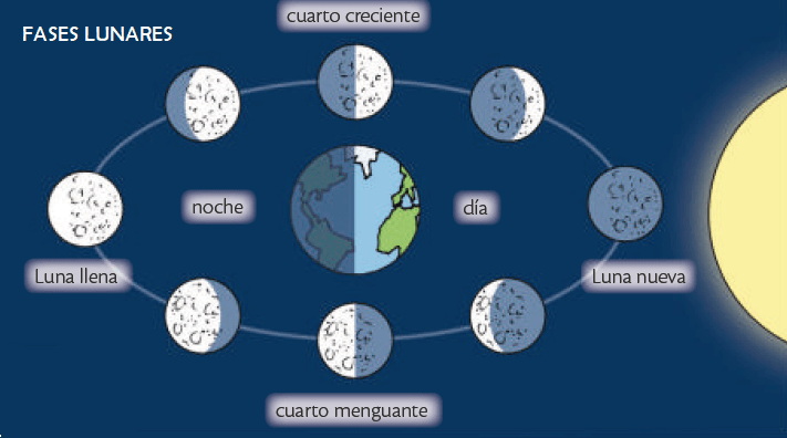 La Tierra y el Sistema Solar | Science - Quizizz