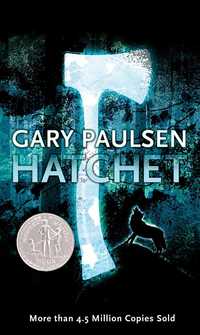 HATCHET CHAPTER 16 and 17