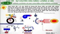 sự tiến hóa và cây sự sống - Lớp 6 - Quizizz