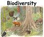 Biodiversity