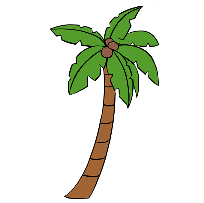 Tết trung thu đang đến gần và bạn muốn tự tay vẽ cây dừa để trang trí? Đến với trang Chemistry - Quizizz và tìm hiểu cách vẽ cây dừa một cách độc đáo và đẹp mắt.