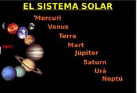 el sistema inmune - Grado 4 - Quizizz