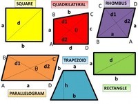 Area of Quadrilaterals - Year 11 - Quizizz