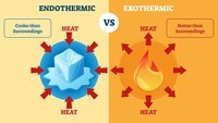 endothermic and exothermic processes - Class 9 - Quizizz