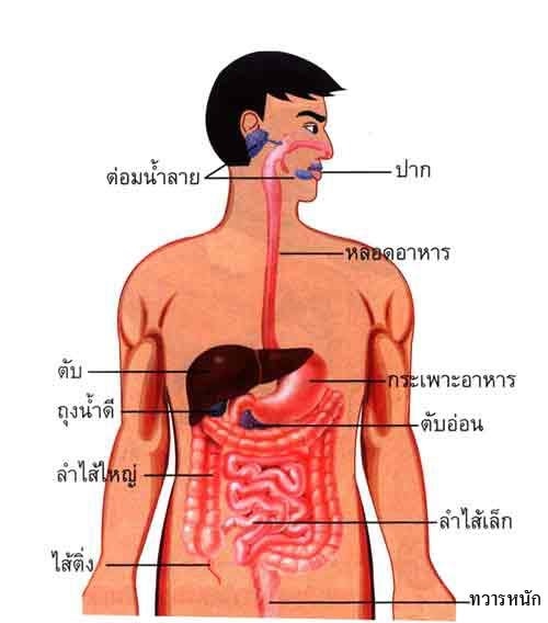 นอกโลก - ระดับชั้น 11 - Quizizz