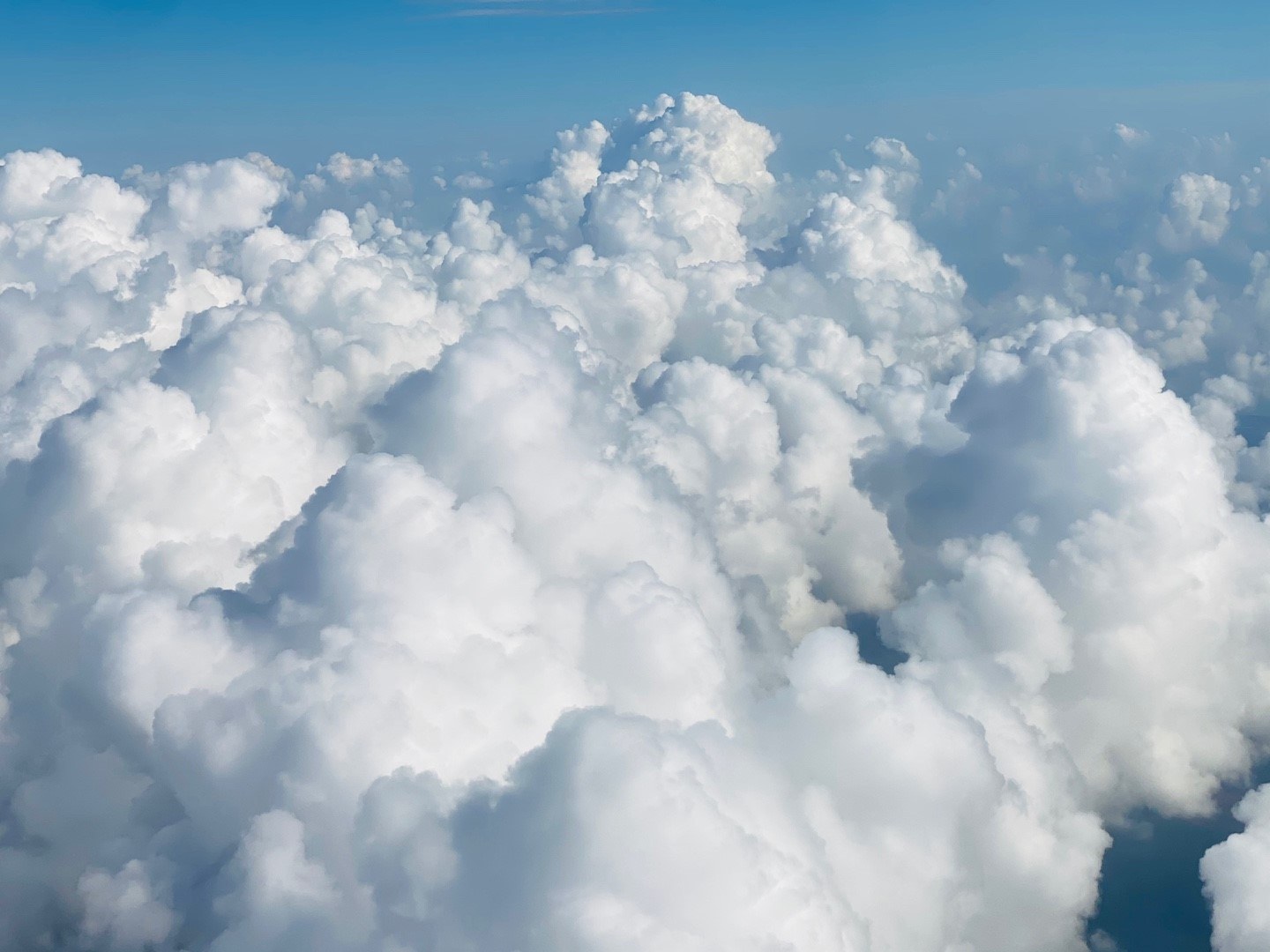 Types of Clouds | Quizizz