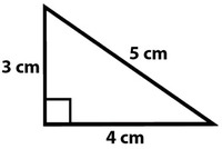 Perimeter - Year 8 - Quizizz