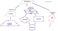 Classifying Quadrilaterals - Class 9 - Quizizz
