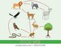 Trophic Levels and Food Webs
