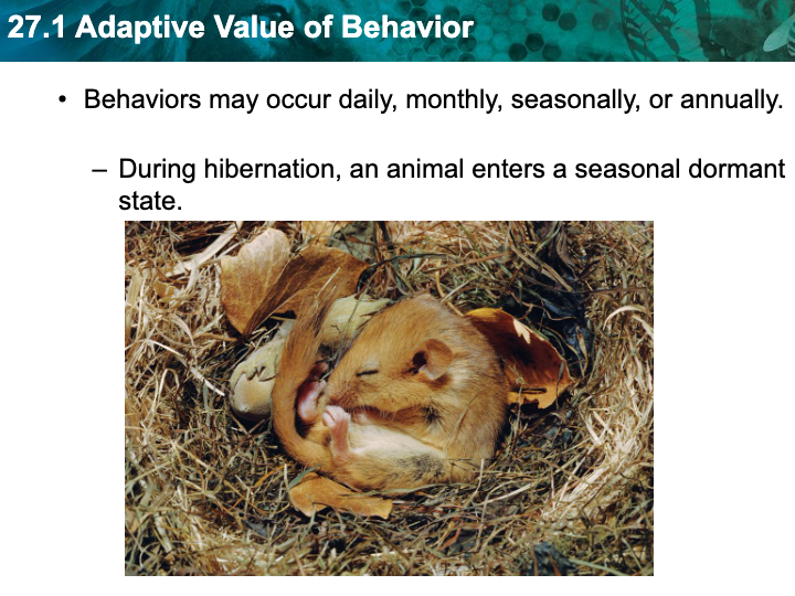 adaptive-value-of-behavior-biology-quizizz