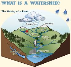 Watersheds & Human Impact Vocab & Ques | 885 plays | Quizizz