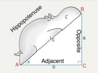 Triangle Theorems - Year 10 - Quizizz