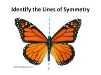 Symmetry - Class 6 - Quizizz