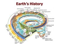 modern world history - Year 8 - Quizizz