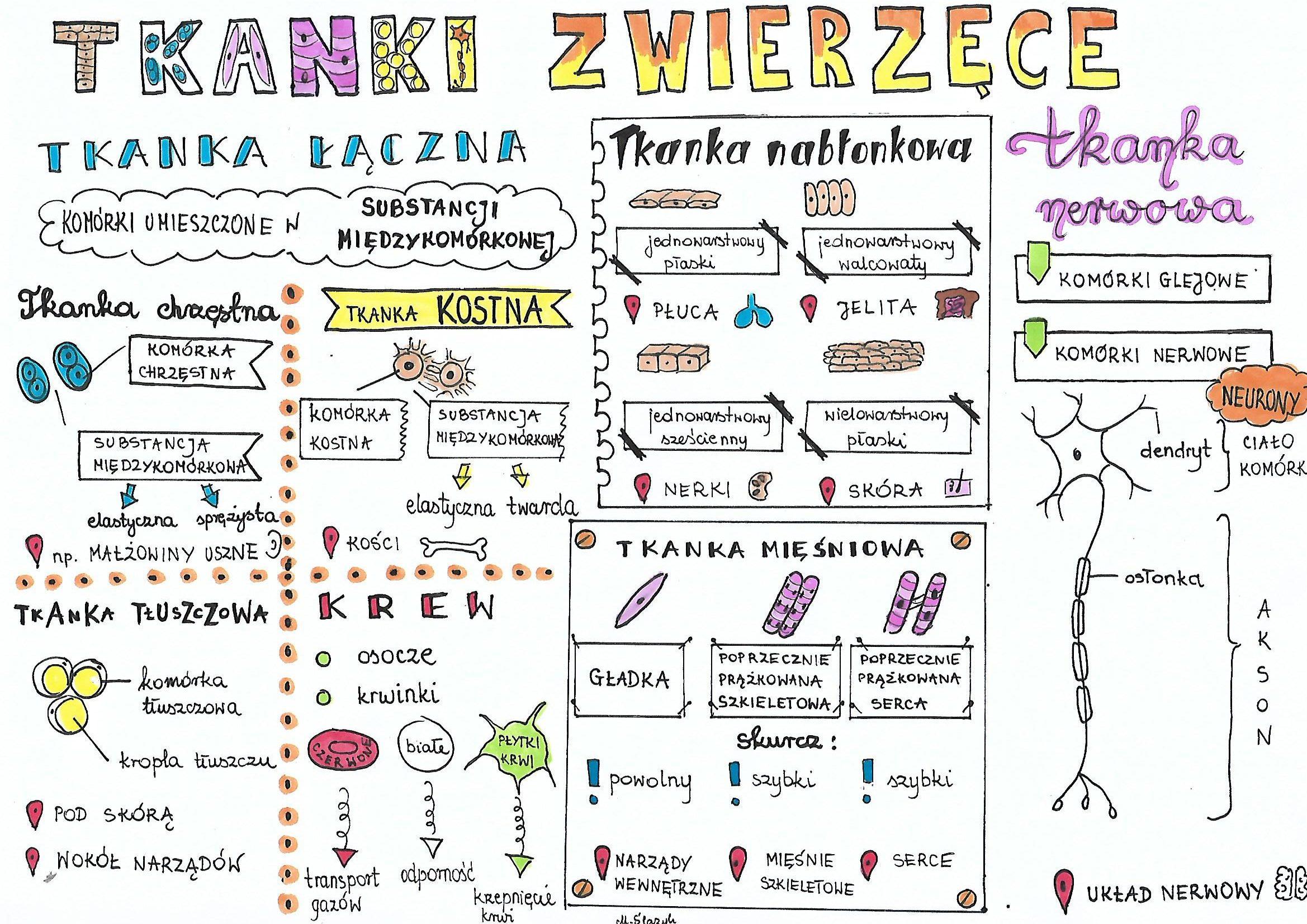 Biologia - Klasa 1 - Quiz