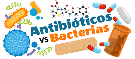 bacterias y arqueas Tarjetas didácticas - Quizizz