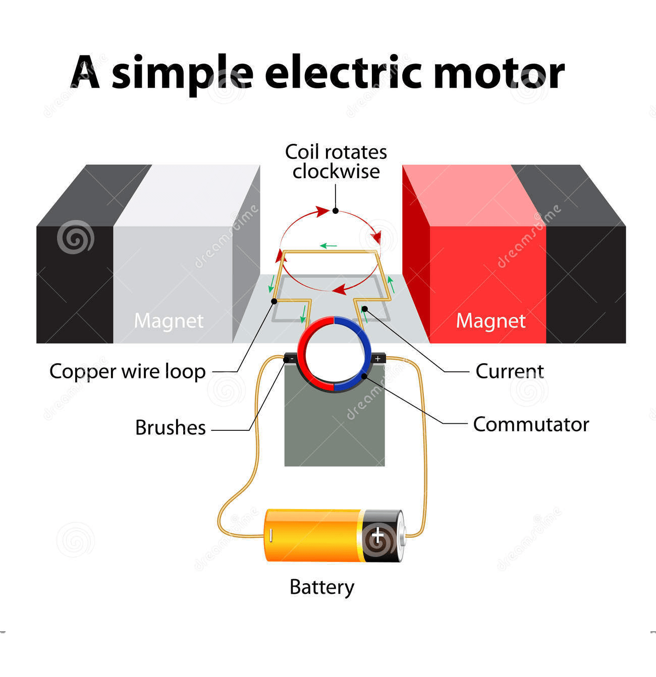 electric-motors-science-quiz-quizizz