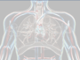 Respiratory and Circulatory System