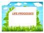 Life Processes -2