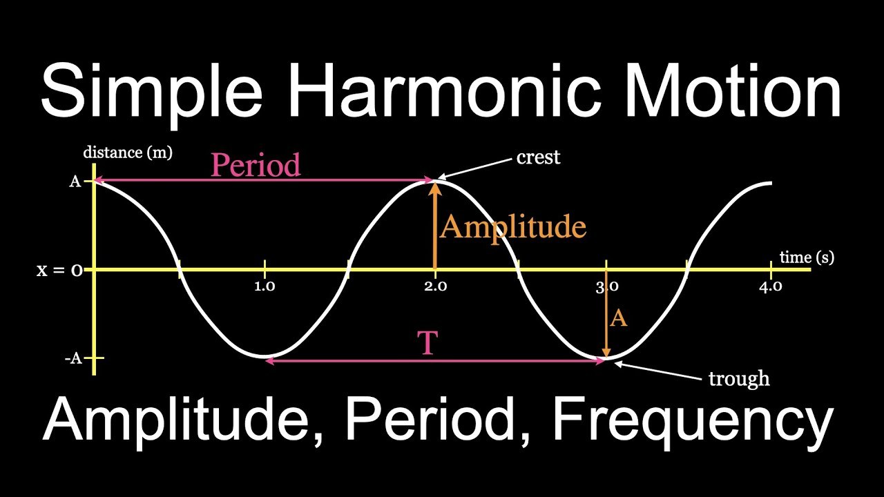 simple harmonic motion - Class 11 - Quizizz