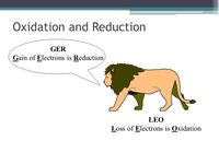 redox reactions and electrochemistry - Grade 10 - Quizizz