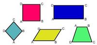 Área dos Quadriláteros - Série 8 - Questionário