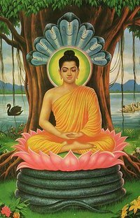 origins of buddhism - Class 8 - Quizizz