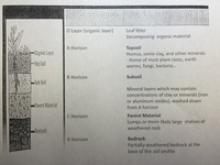 soils Flashcards - Quizizz