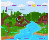 movimientos del agua del océano - Grado 12 - Quizizz