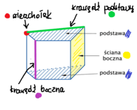 Pięciokąty - Klasa 5 - Quiz