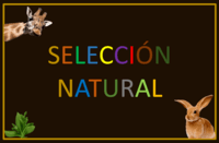 Selección natural y adaptaciones - Grado 11 - Quizizz