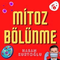 cykl komórkowy i mitoza - Klasa 7 - Quiz