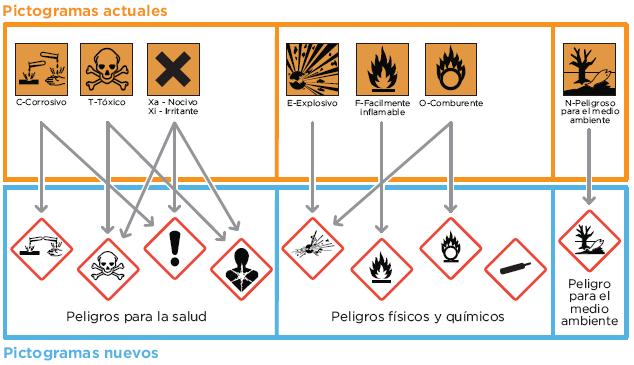 Pictografías - Grado 10 - Quizizz