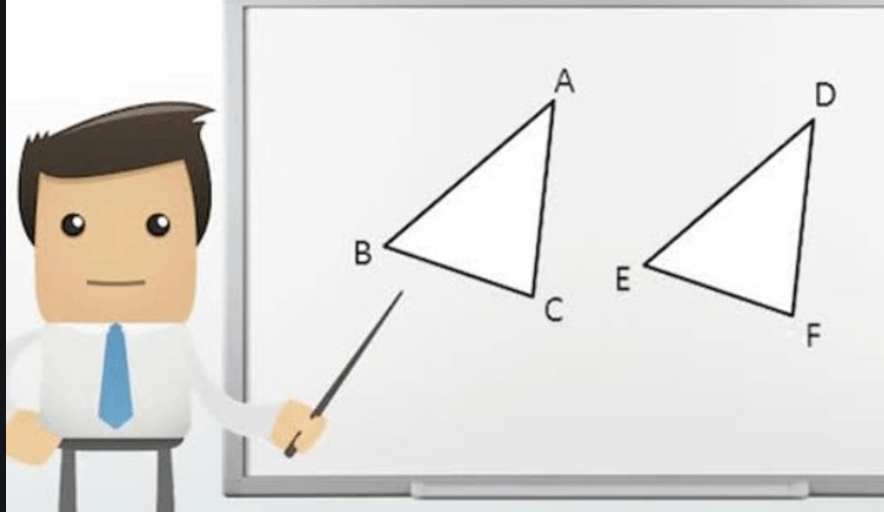 Triangle Congruence