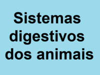 Animais - Série 6 - Questionário