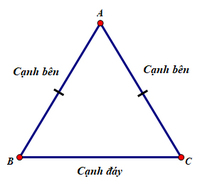 sự đồng dạng trong tam giác cân và tam giác đều - Lớp 7 - Quizizz
