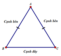 Phân loại hình dạng - Lớp 7 - Quizizz