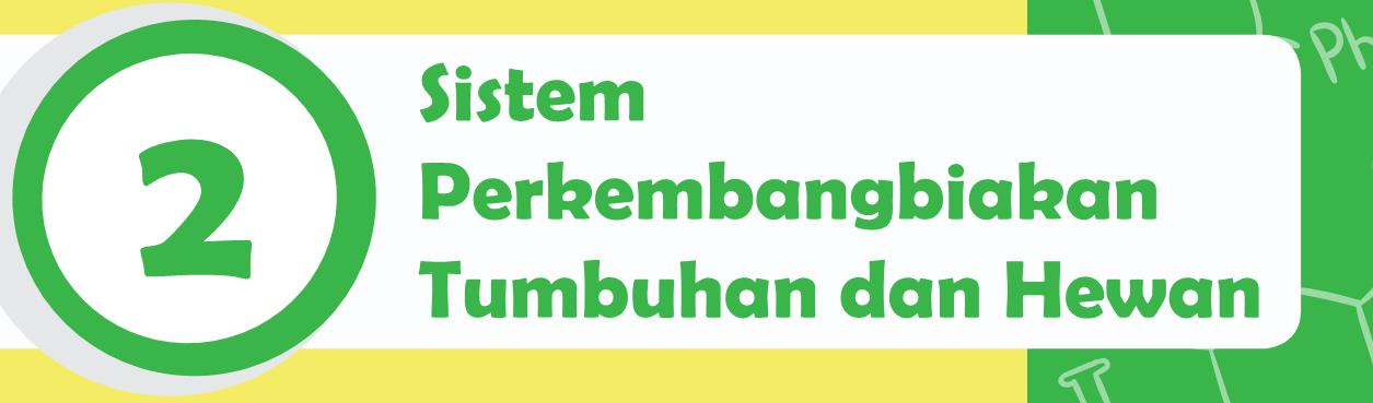 Pertidaksamaan dan Sistem Persamaan - Kelas 9 - Kuis