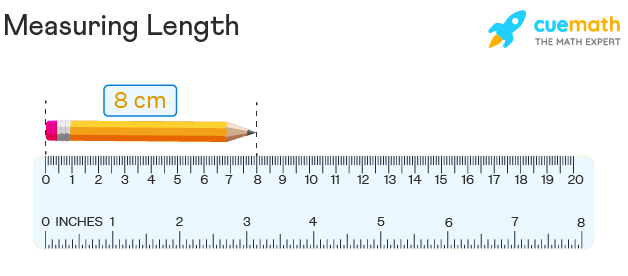 Comparing Length - Class 3 - Quizizz