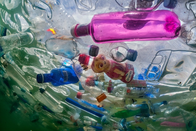 Plastic Pollution