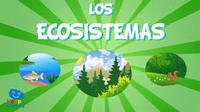 ecosistemas - Grado 3 - Quizizz