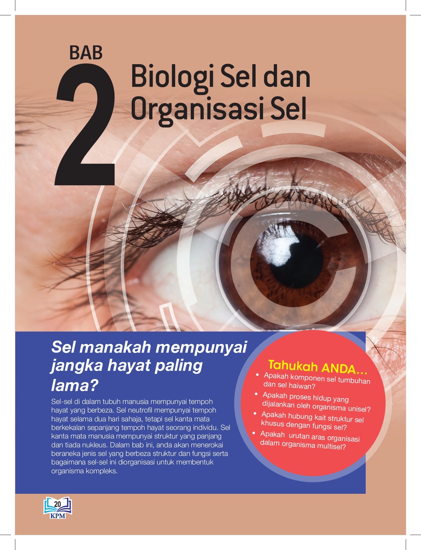 BIOLOGI KSSM T4 BAB 2 2.3 Proses Hidup Organisma Multisel | 135 Plays ...