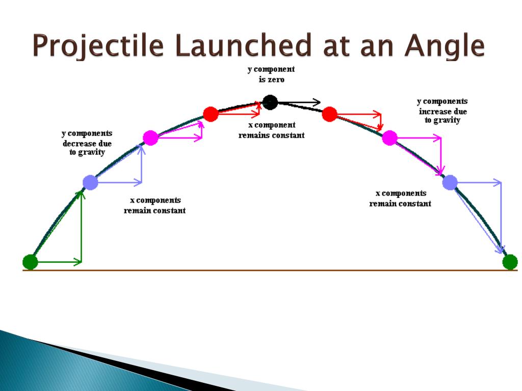 Projectile Motion Physics Quizizz